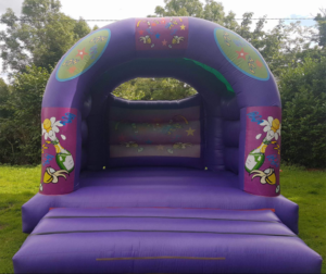 Adult Party Bouncy Castle