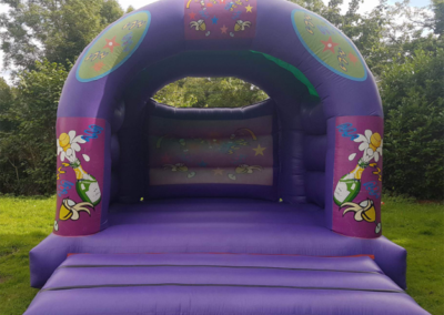 Adult Party Bouncy Castle