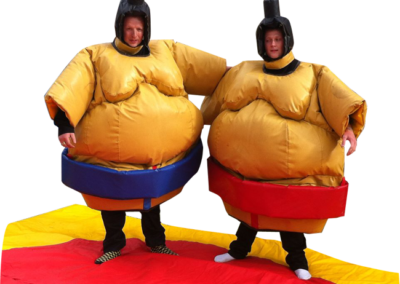 Sumo Suits and mat